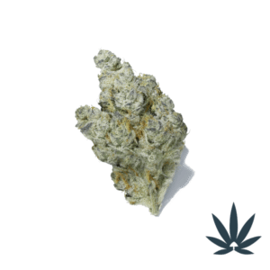 Gorilla Glue