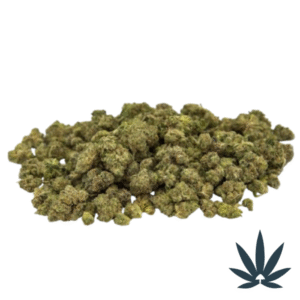 Z – Topia (Smalls)