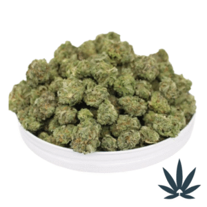 Blueberry Pie