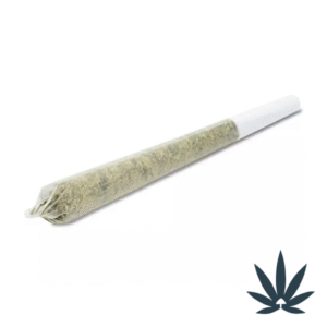 1 Gram Pre-Rolls