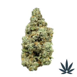Sour Animals