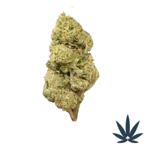 Lemon Cherry Gelato