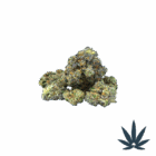 Grapefruit-Smalls-Scaled