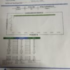 Black bubble gum COA