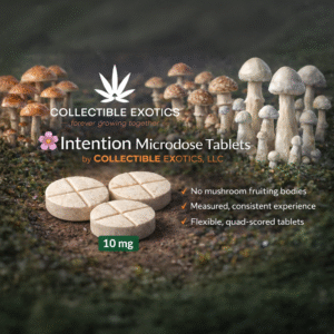 Intention Microdose Tablets – 10mg