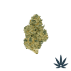 bubblegum runts DEP-A