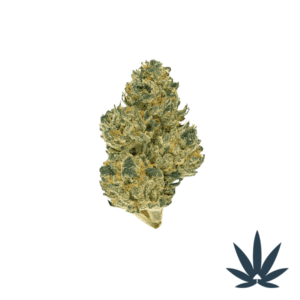 Bubblegum Runtz – DEP