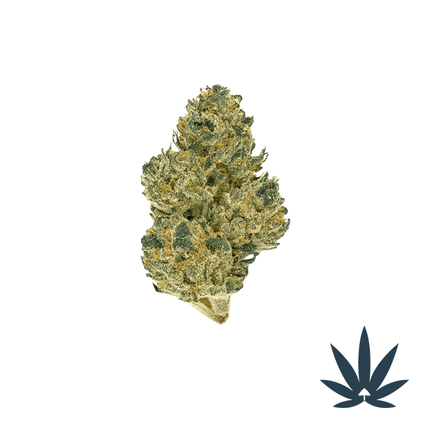 bubblegum runts DEP-A