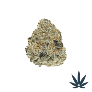 Bubblegum Runtz – Indoor