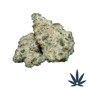 Close-up of Daily Grape cannabis strain featuring frosty trichomes and purple-green buds