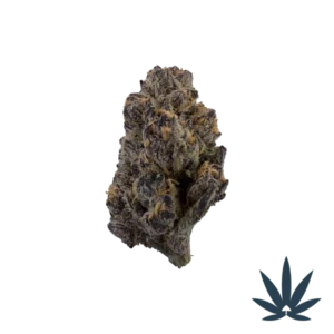 Blue Gushers cannabis strain A vibrant mix of blueberry candy and tropical fruit with a slight creamy sweetness and light gassy finish.