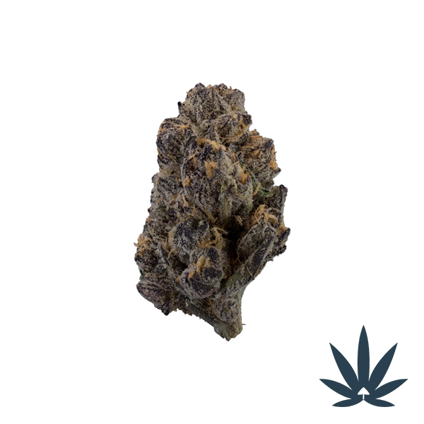 Blue Gushers cannabis strain A vibrant mix of blueberry candy and tropical fruit with a slight creamy sweetness and light gassy finish.