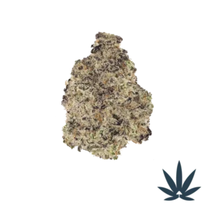 MAC