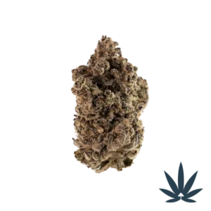 White Cherry