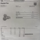 cheetahpiss-coa