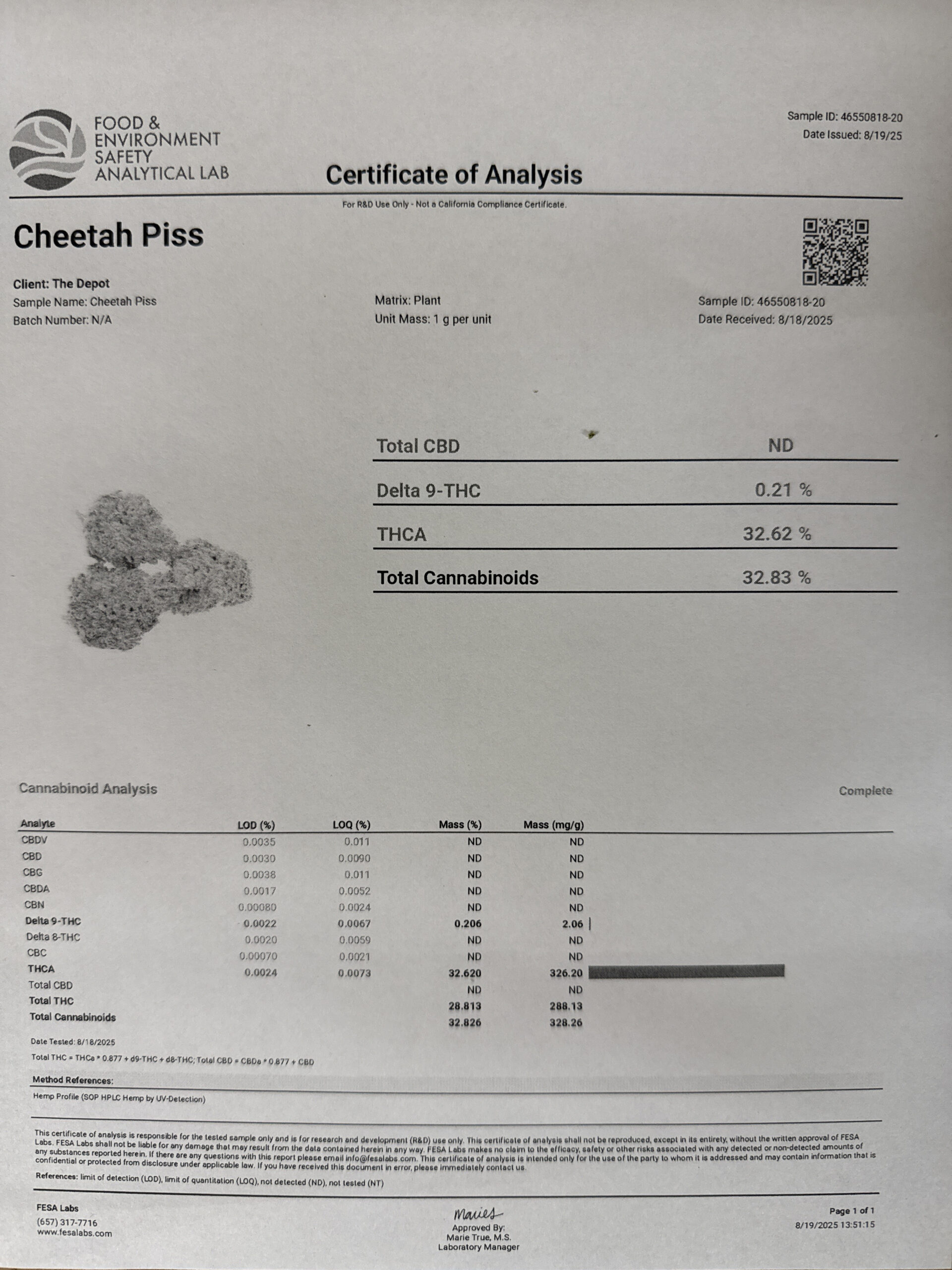 cheetahpiss-coa