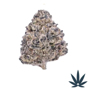 Grape Cream Cake