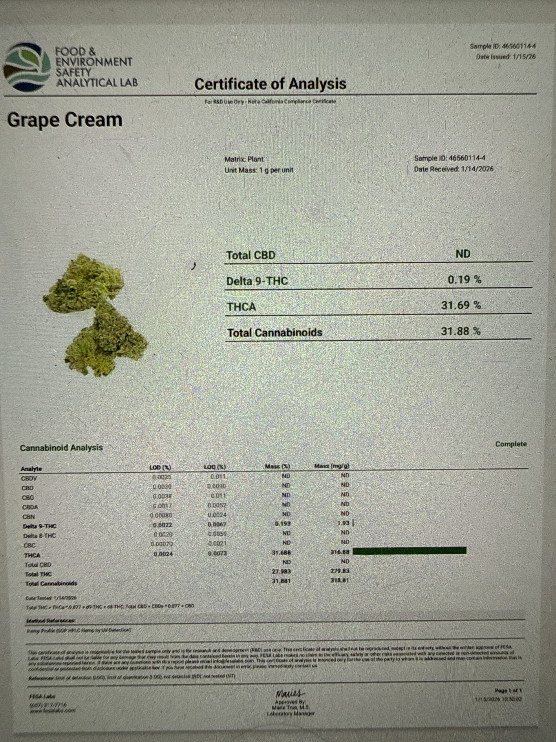 grapecreamcake-coa