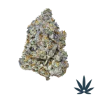 jelloshot