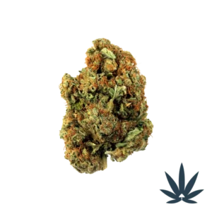 Rolex OG