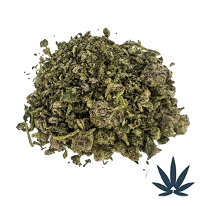 A+ Indoor Shake Collection - Gas Face