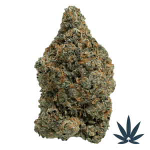Gelato #33