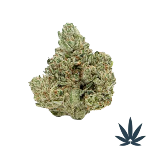 Gorilla Glue