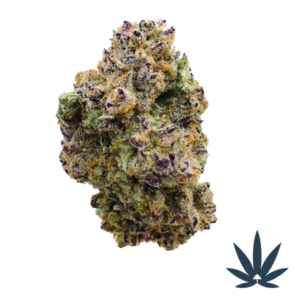 G33 (Gelato #33)
